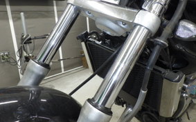 KAWASAKI ELIMINATOR 250 V VN250A