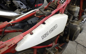 YAMAHA RZ 250 4L3