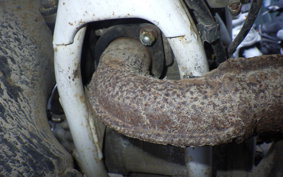 HONDA CRM250R GEN 2 MD24