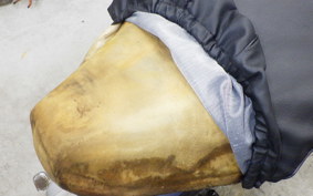 HONDA C90 SUPER CUB E HA02