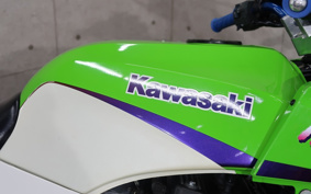 KAWASAKI GPZ900R NINJA 2002 ZX900A
