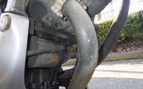 HONDA VTZ250 MC15