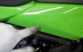 KAWASAKI NINJA 250 2 2019 EX250Y