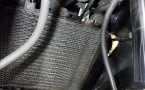 KAWASAKI ZZ-R250 EX250H