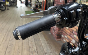 HARLEY FLSTSB 2009 JM5