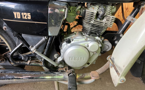 HONDA SUPER CUB50 AA09