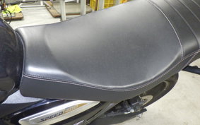 TRIUMPH SPEED400 2024