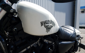 HARLEY XL883N 2017 LE2