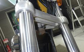 OTHER +HD. XL1200R 2006