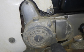 HONDA C50 SUPER CUB 2021 C50