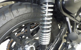 OTHER +ENFIELD ﾒﾃｵ350 2024