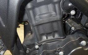 HONDA CB250RA 2024 MC52