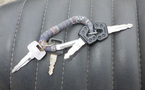 YAMAHA VIRAGO 250 TRIKE 3DM