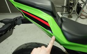 KAWASAKI ZX-4RR 2023 ZX400P