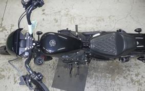 HARLEY XL1200NS 2020