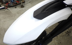 YAMAHA WR250X DG15J