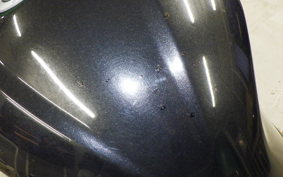 KAWASAKI NINJA 250 EX250L