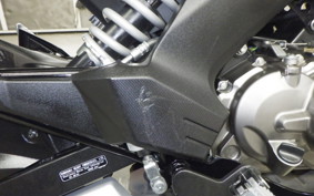 KAWASAKI Z125 PRO 2022 BR125H