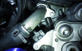 TRIUMPH DAYTONA 675 R 2015