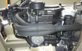 HONDA HORNET 250 2025 MC31