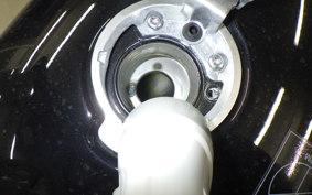 TRIUMPH SPEED ​​TWIN 1200 RS 2025