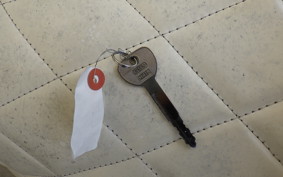 YAMAHA MAJESTY 250 C 2021 SG03J