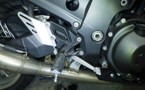 KAWASAKI ZZ1400 NINJA R 2009 ZXT40C