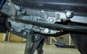 HONDA ZOOMER 2024 AF58