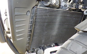 HARLEY ﾊﾟﾝ AMERICA1250S 2021