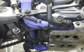 YAMAHA TT250R 2010 4GY