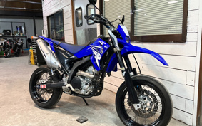 YAMAHA WR250X DG15J