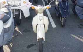 HONDA LITTLE CUB E AA01