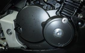 HONDA HORNET 250 MC31