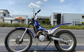 SCORPA SY250