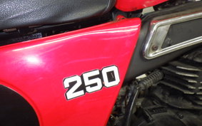 SUZUKI TS250 2009 TS2504