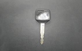 HONDA CBR1100XX 2001