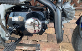 HONDA MONKEY AB22