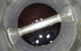 HONDA NS-1 GEN 2 2006 AC12