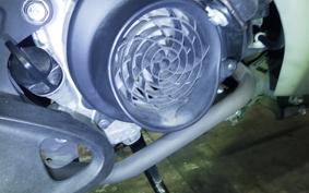 HONDA DIO 110 2016 JF31