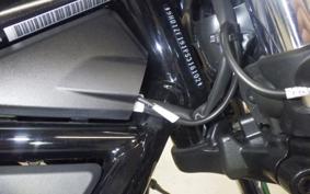 HARLEY RH975S 2024