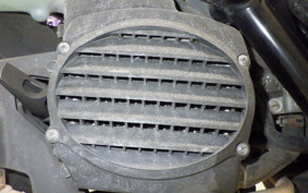 HONDA ZOOMER 2022 AF58