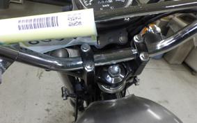 KAWASAKI 250TR 2007 BJ250F