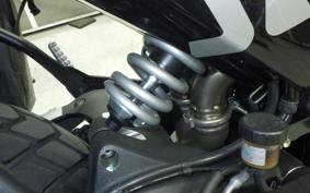 DUCATI SCRAMBLER 2026