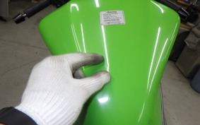 KAWASAKI NINJA 250 SL 2026