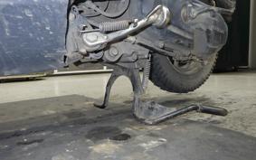 HONDA TACT Basket 2024 AF79