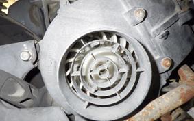 HONDA TODAY 2011 AF61