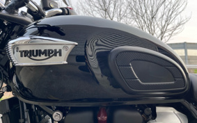 TRIUMPH BONNEVILLE T100 2025 D4BG25