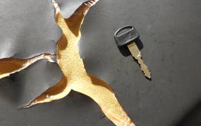 HONDA C50 SUPER CUB AA09