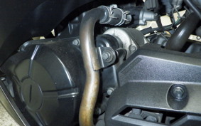 KAWASAKI NINJA 250 ABS 2022 EX250L