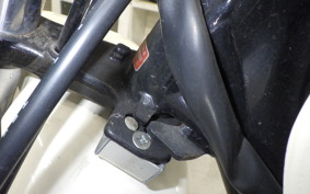 HONDA APE 100 HC07